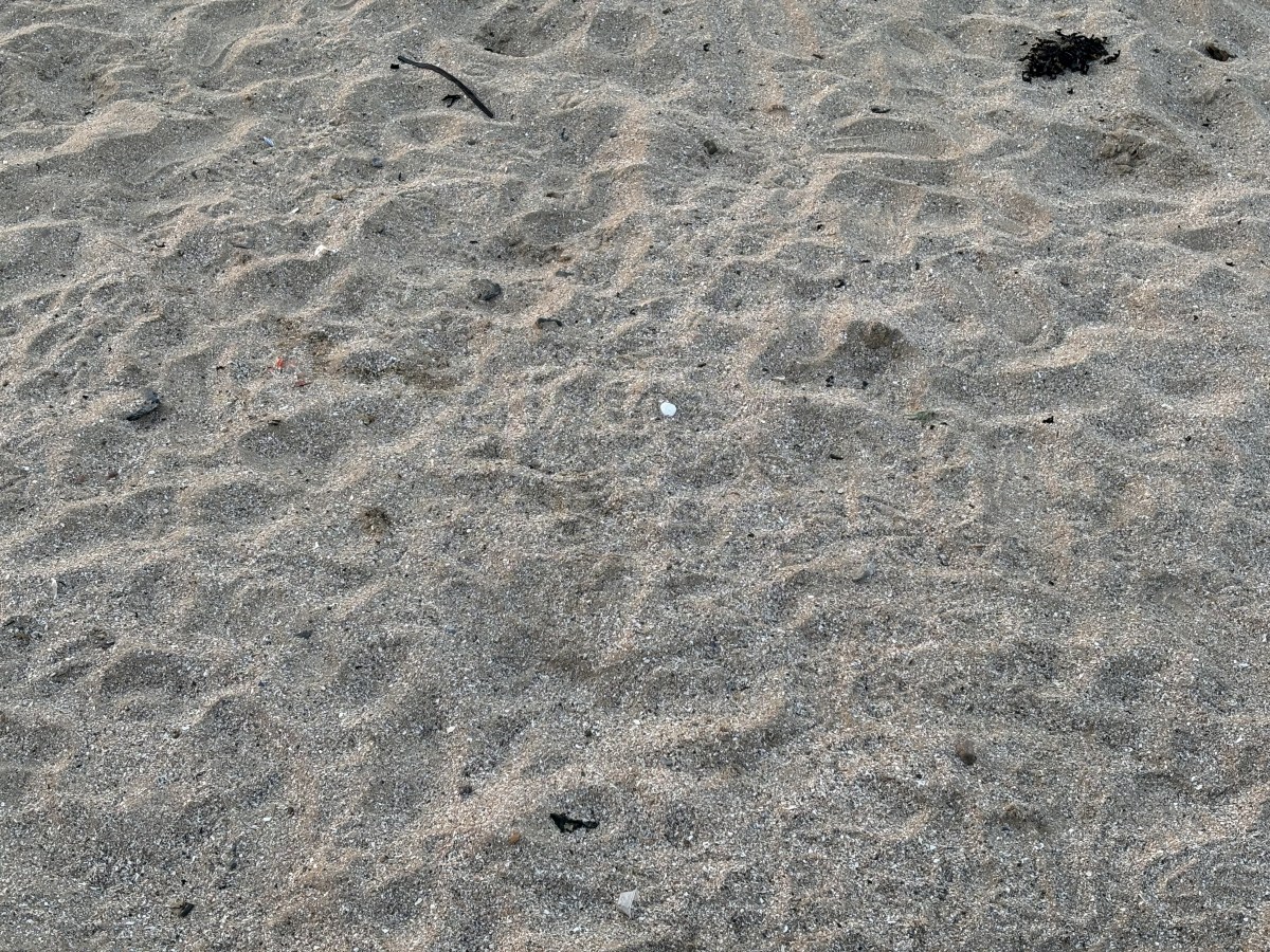 What is sand made&nbsp;of?