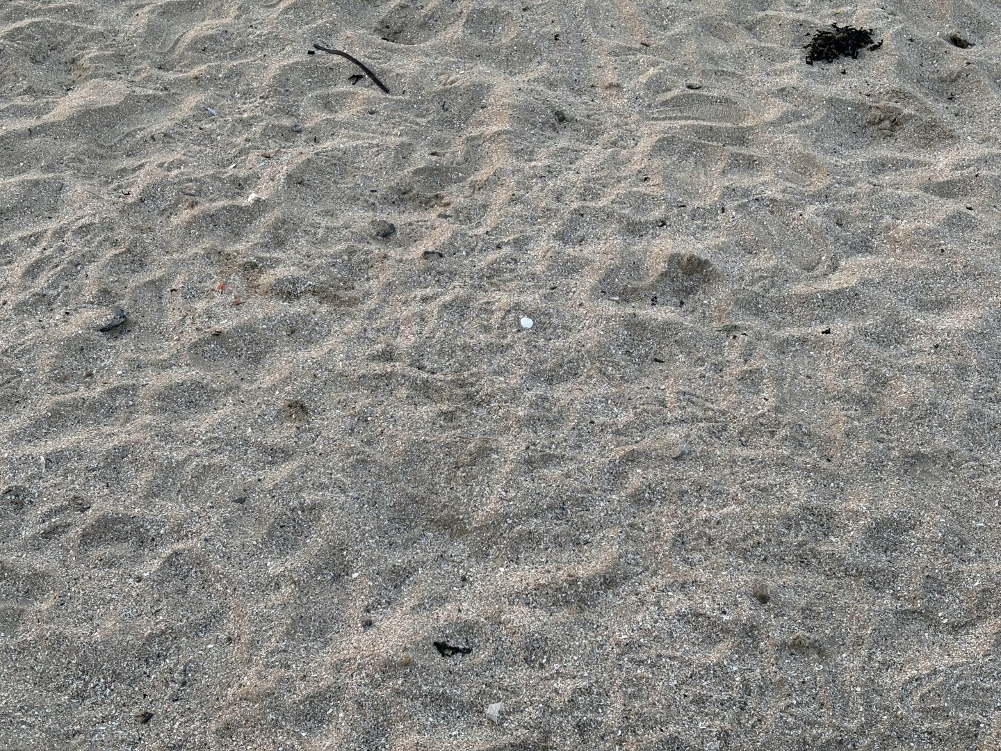 Margate Main Sands Beach