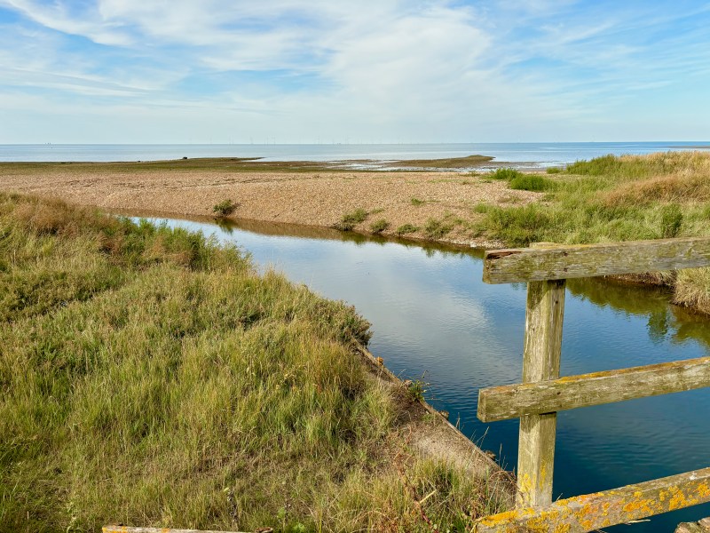 Tankerton Beach, Whitstable