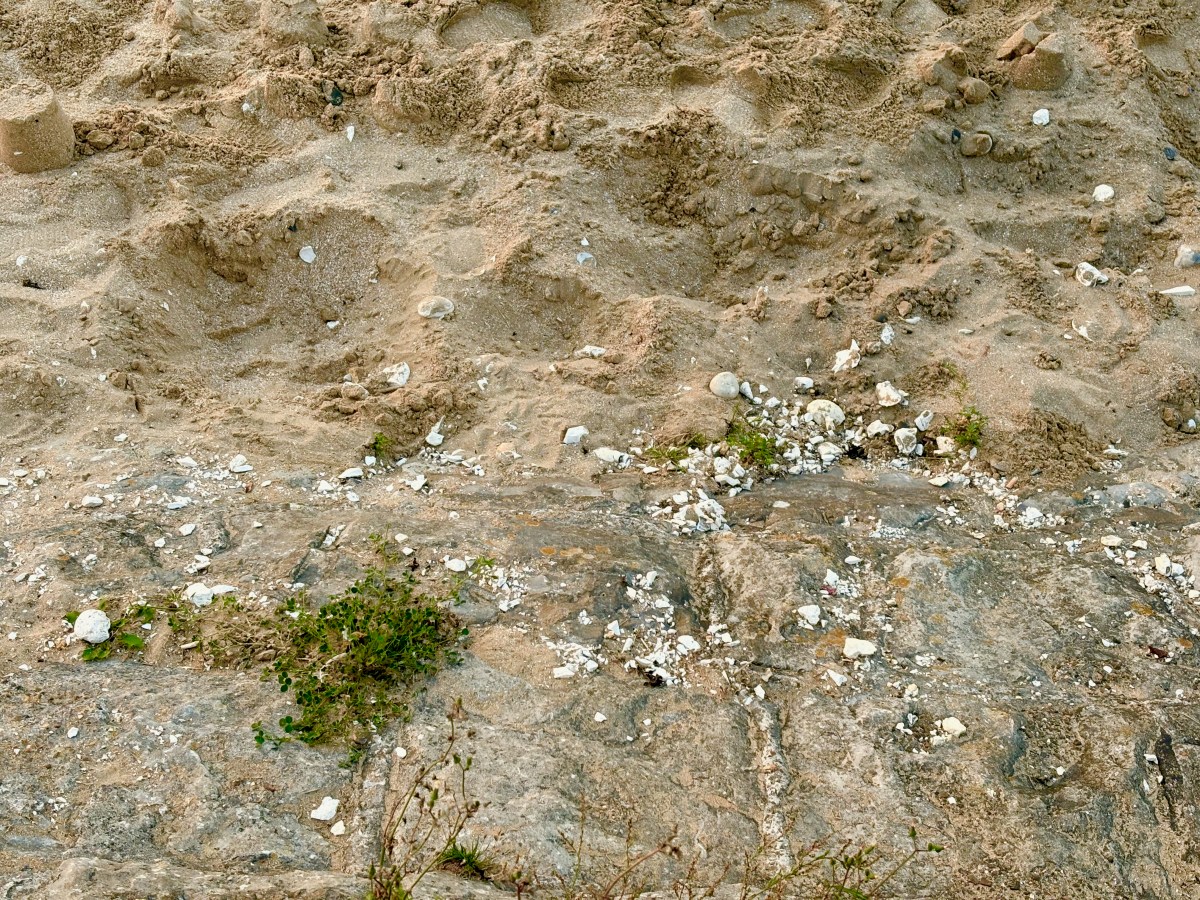 How is sand&nbsp;made?