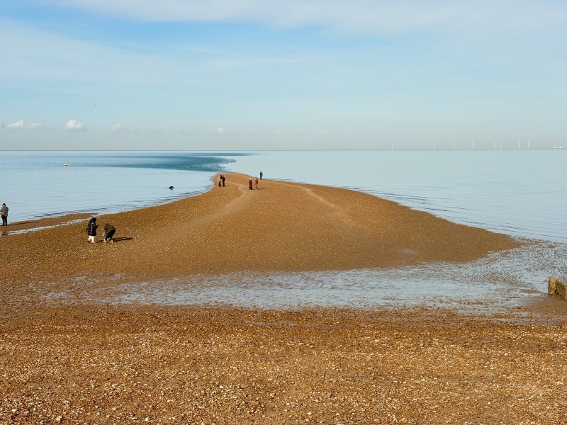 Tankerton Beach sandspit