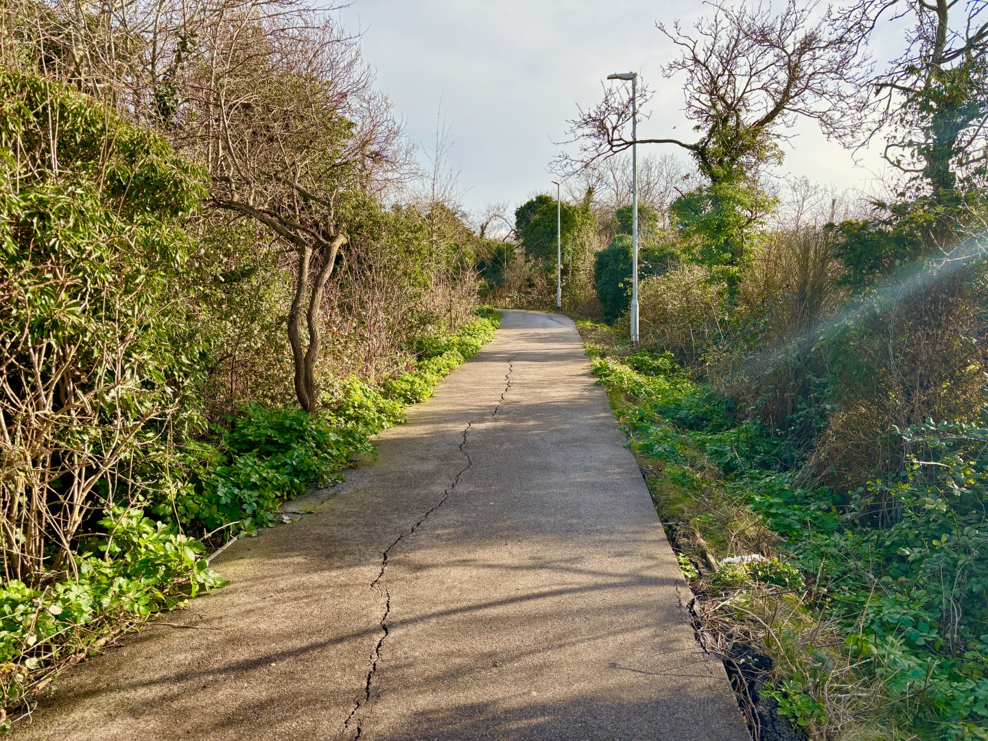 Crab and Winkle Way, Whitstable