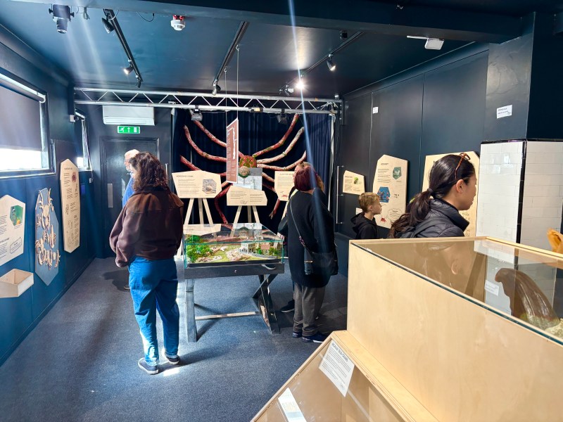 Museum about crabs with information and artefacts on display