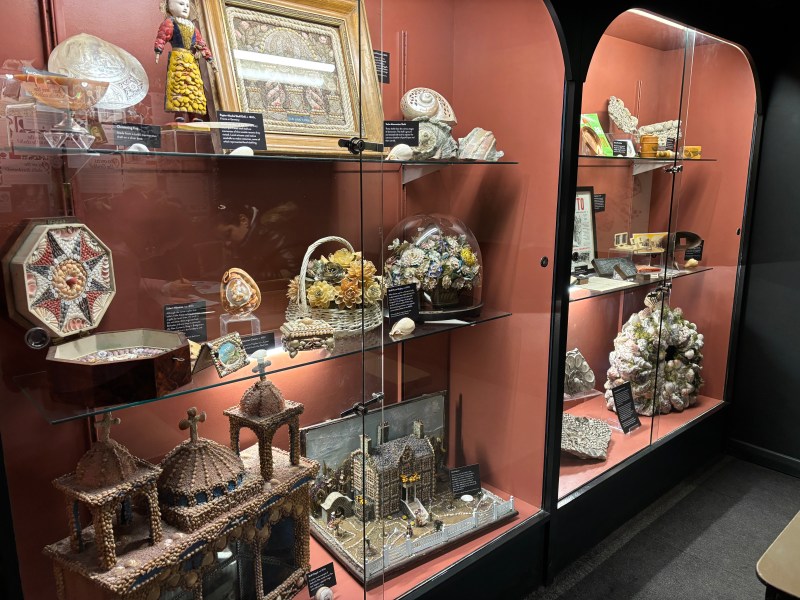 Display cabinet showcasing various artwork and seashells