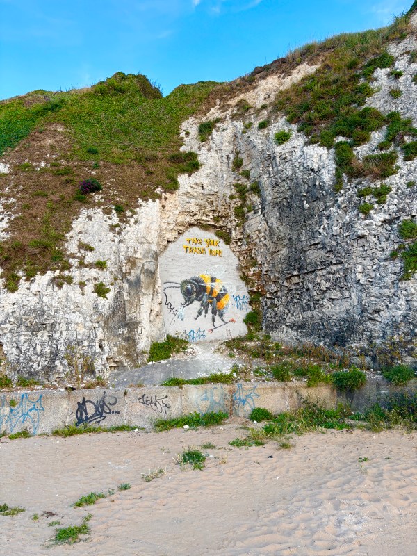 Clean up mural at Walpole Bay in Margate showing a bee