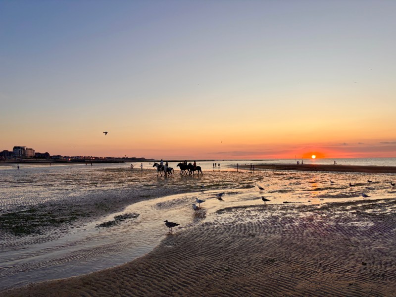 Horse riding on the beach at sunset