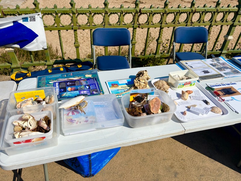 information stand for rockpooling