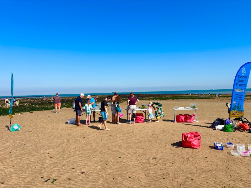 Rockpooling at Margate Main Sands Beach