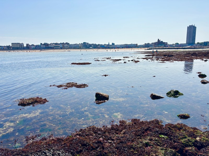 Rockpooling at Margate Main Sands Beach