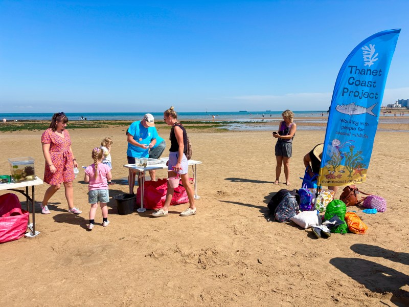 Rockpooling at Margate Main Sands Beach