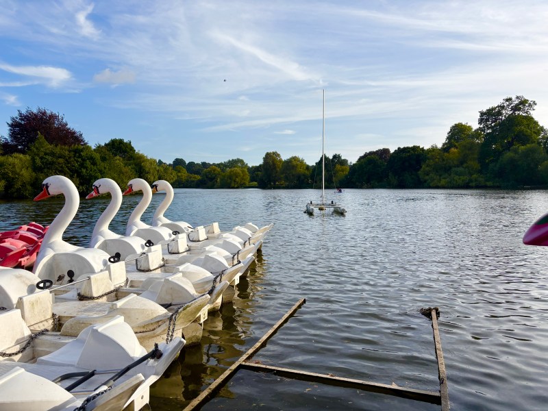 Mote Park Watersports Centre showing the lake and boats