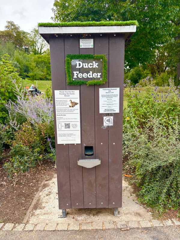 Duck feeder at Mote Park Maidstone
