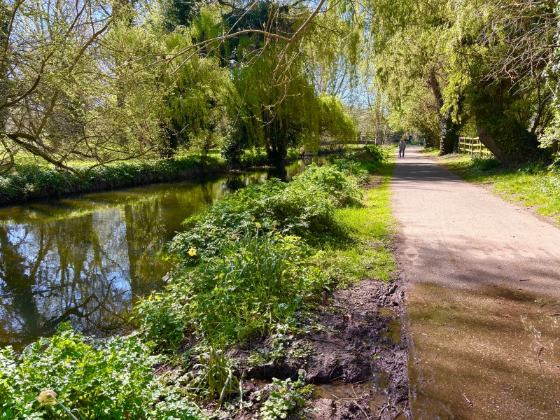 River Stour Canterbury