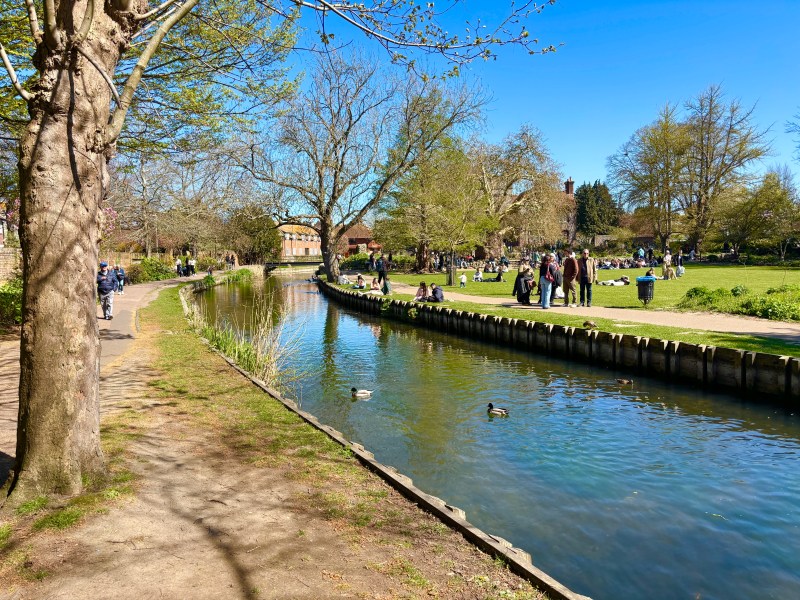 River Stour in Canterbury